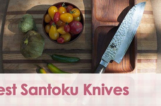 Best Santoku Knives