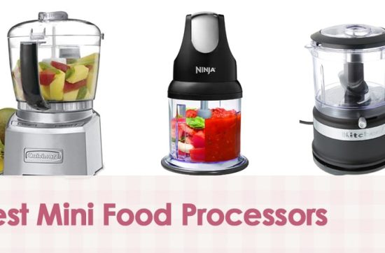 Best Mini Food Processors